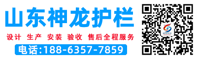 山東神龍金屬制造有限公司